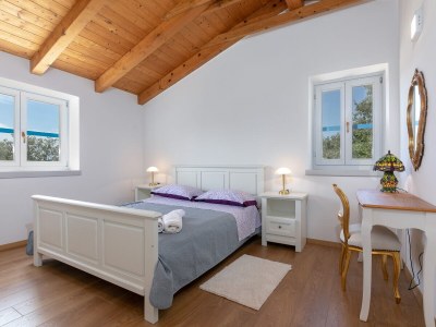 Villa Irena Funtana with pool - Features photo 24