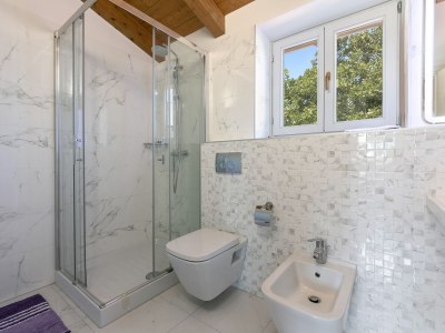 Villa Irena Funtana with pool - Features photo 27