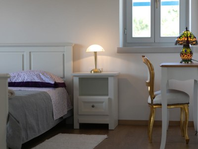 Villa Irena Funtana with pool - Features photo 28