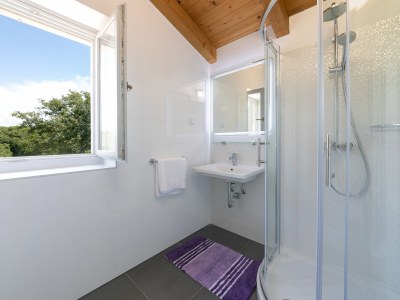 Villa Irena Funtana with pool - Features photo 35