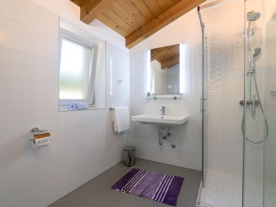 Villa Irena Funtana with pool - Features photo 36