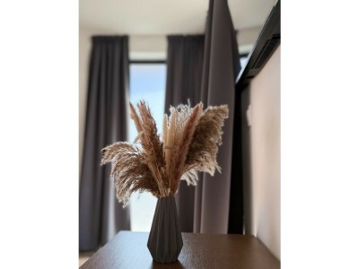 Villa Villa Elvita - Features photo 18