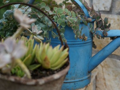 Villa Villa Antisha - Environment photo 25