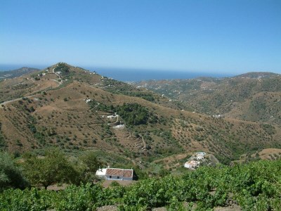 Villa Valentina - Environment photo 31