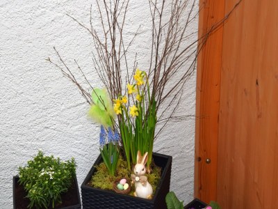 Holiday house Holiday home in Wilsecker with private terrace - Outdoor photo 37