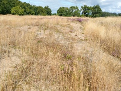Holiday house Ferienhaus in Neukirchen nahe Strand - Environment photo 29