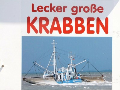 Holiday house Ferienhaus in Neukirchen nahe Sylt Strand - Outdoor photo 34