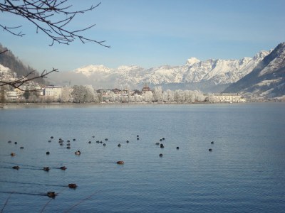 Holiday apartment Sonnberg 50 - Environment photo 16