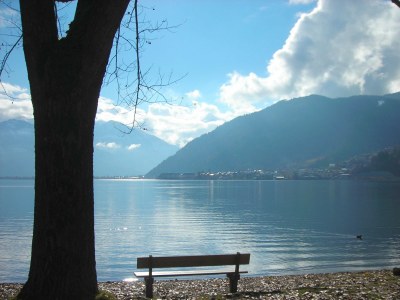 Holiday apartment Sonnberg 50 - Environment photo 17