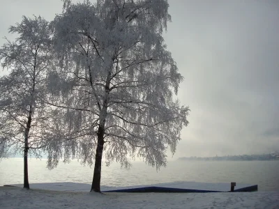 Holiday apartment Sonnberg 50 - Environment photo 20