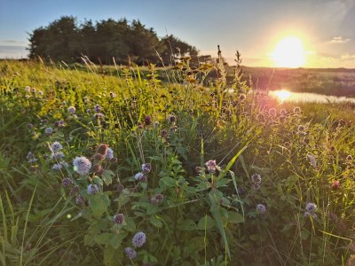 Holiday house Parel 180 / Margrieta - Environment photo 26