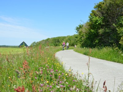 Holiday house Parel 180 / Margrieta - Environment photo 28