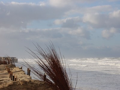 Holiday house Parel 180 / Margrieta - Environment photo 29