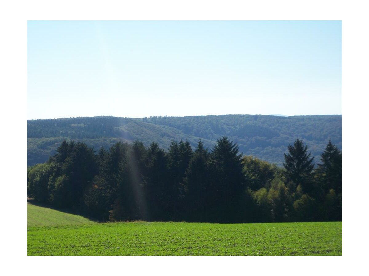 Apartment 2-Bettwohnung - Outdoor photo 4