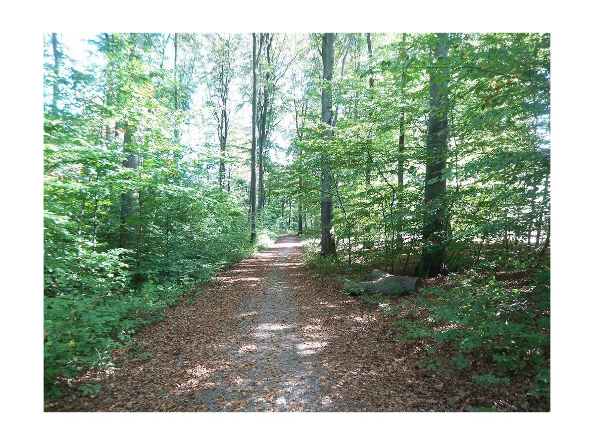 Apartment 2-Bettwohnung - Outdoor photo 5