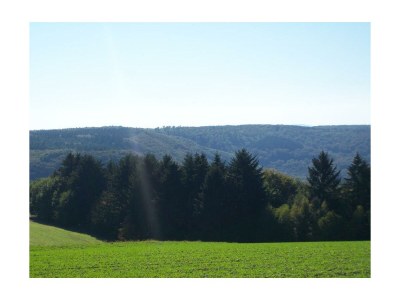 Apartment 2-Bettwohnung - Outdoor photo 4