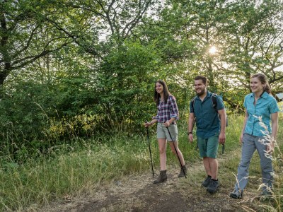 Apartment Appartement/Fewo, Dusche, WC, ruhig - Outdoor photo 10