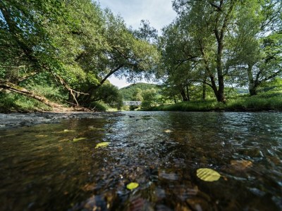Apartment Appartement/Fewo, Dusche, WC, ruhig - Outdoor photo 11