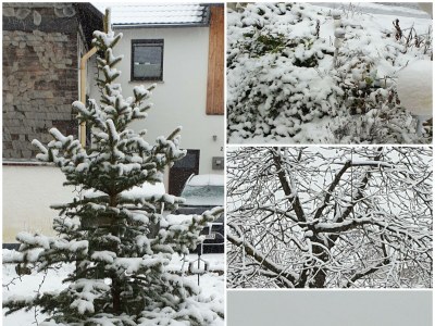 Apartment Appartement/Fewo, Dusche, WC, ruhig - Outdoor photo 12