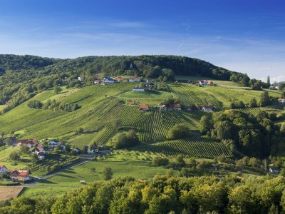 Holiday room VULKANLAND, Doppelzimmer Abendsonne - Outdoor photo 12