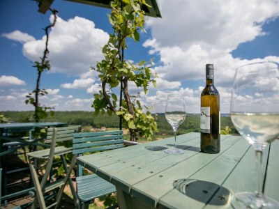 Holiday room VULKANLAND, Doppelzimmer Abendsonne - Outdoor photo 20