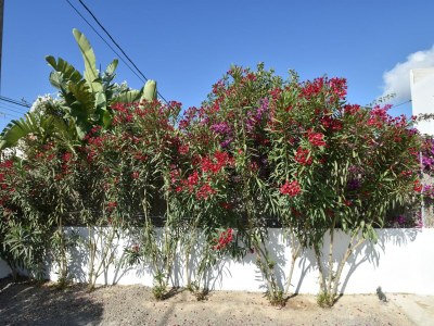 Holiday house Gemütliches Ferienhaus mit privatem Pool - Outdoor photo 7