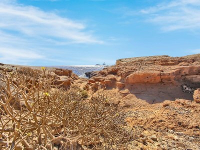 Holiday house Belvilla by OYO Holiday home in Arico - Outdoor photo 27