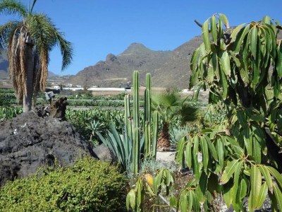 Holiday house Schönes Haus mit Meerblick - Environment photo 31