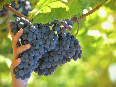 Villa Villa mit Pool und Weinland-Charme - Outdoor photo 33