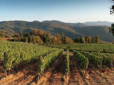Villa Villa in der Toskana mit Weingut - Outdoor photo 5