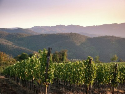 Villa Villa in der Toskana mit Weingut - Outdoor photo 15