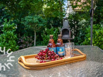 Holiday house Oostkapelle - ZE073 - Environment photo 19