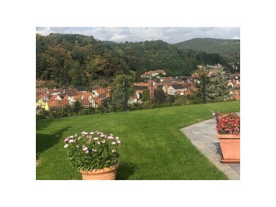 Apartment Appartement/Fewo, Dusche, WC, 1 Schlafraum in Bruchweiler-Bärenbach - Apartment