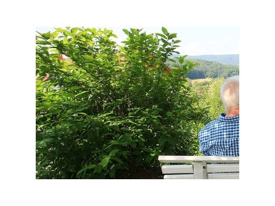 Apartment Appartement/Fewo, Dusche, WC, 1 Schlafraum - Outdoor photo 5