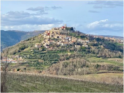 Villa Lente - Environment photo 39