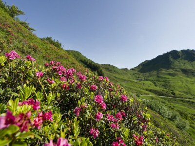 Apartment Apartment in Damüls near Ski Slopes - Environment photo 21