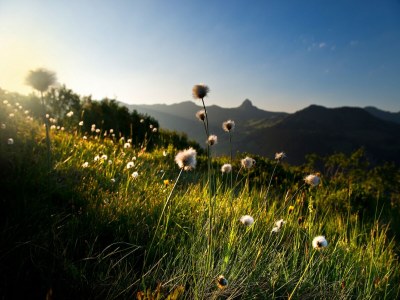 Apartment Apartment in Damüls near Ski Slopes - Environment photo 23