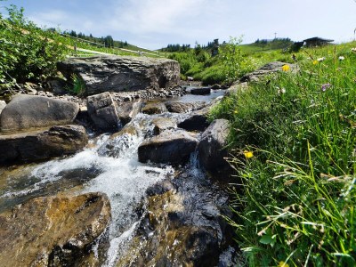 Apartment Apartment in Damüls near Ski Slopes - Environment photo 32