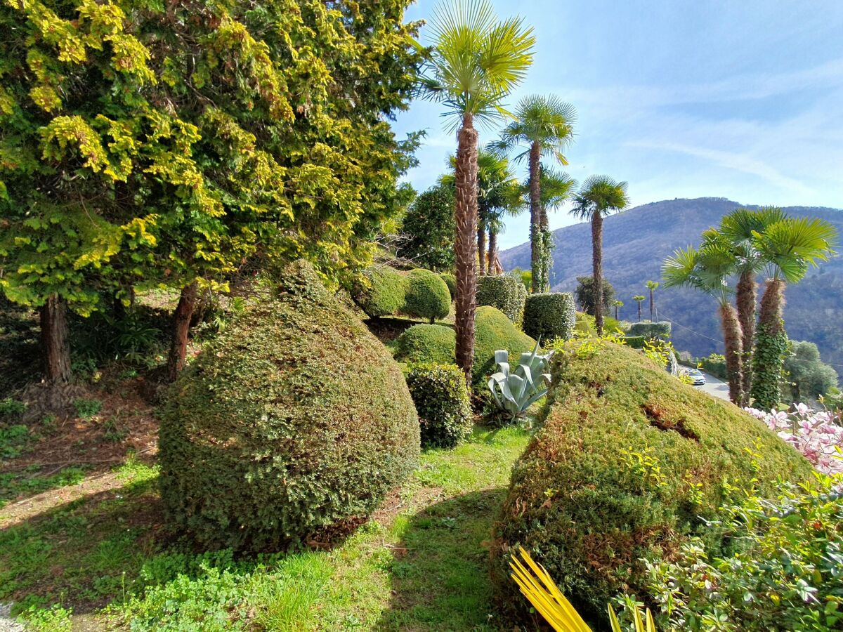 Holiday house Holiday Home in Maccagno with Pool - Outdoor photo 3