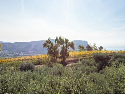 Holiday house Freistehende Villa für 2 Personen in Marciaga am Gardasee - Outdoor photo 6