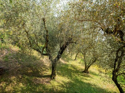 Holiday house Freistehende Villa für 2 Personen in Marciaga am Gardasee - Outdoor photo 8