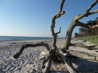 Holiday house Achternhus Fiete - Environment photo 34