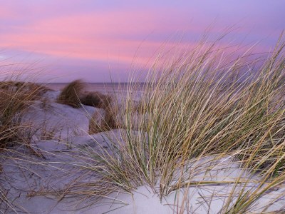 Holiday house Achternhus Fiete - Environment photo 35