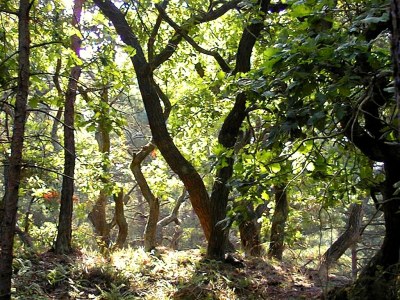 Holiday house Achternhus Fiete - Environment photo 39