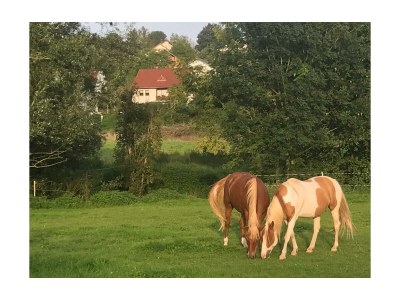 Apartment 2-Bett-Ferienwohnung Dusche/WC, 1 Schlafraum - Outdoor photo 17