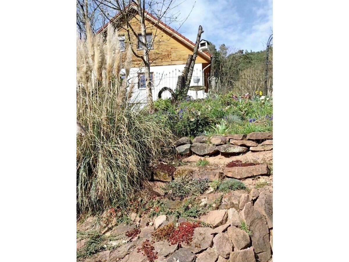 Apartment Appartement/Fewo, Dusche, WC, 1 Schlafraum - Outdoor photo 5