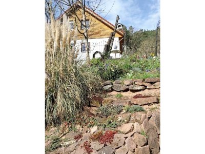 Apartment Appartement/Fewo, Dusche, WC, 1 Schlafraum - Outdoor photo 5