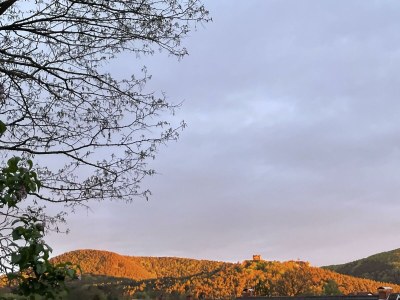 Apartment Appartement/Fewo, Dusche, WC, 1 Schlafraum - Outdoor photo 13