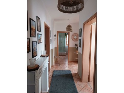 Apartment Appartement/Fewo, Dusche, WC, 1 Schlafraum - Features photo 14