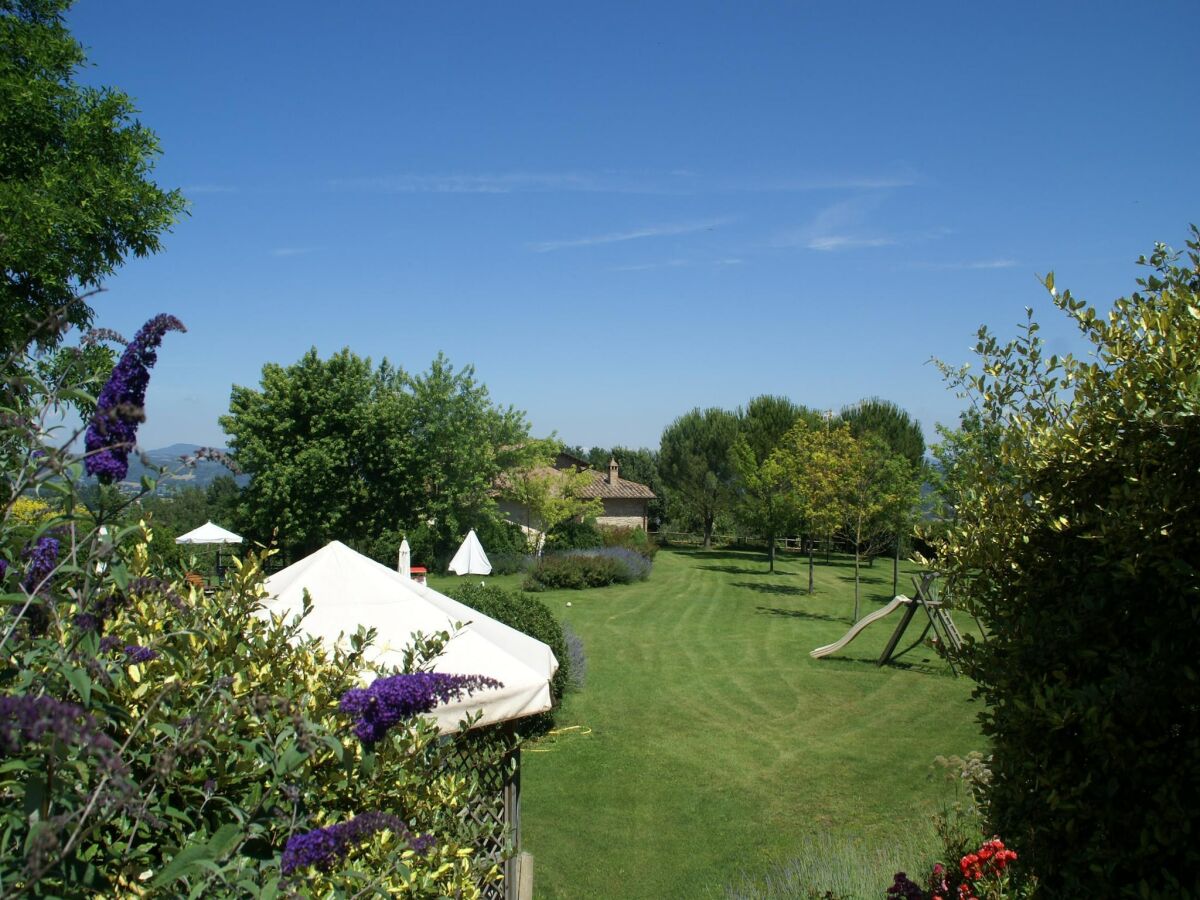 Apartment Apartment in Montone with Pool & Garden - Outdoor photo 2